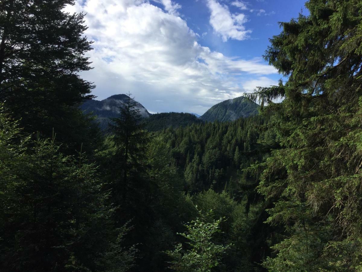 Ferienwohnung Almflair Chalet Thiersee Luaran gambar